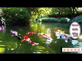 Download Lagu relaxing music, Sweet Spirit, Rising Luck