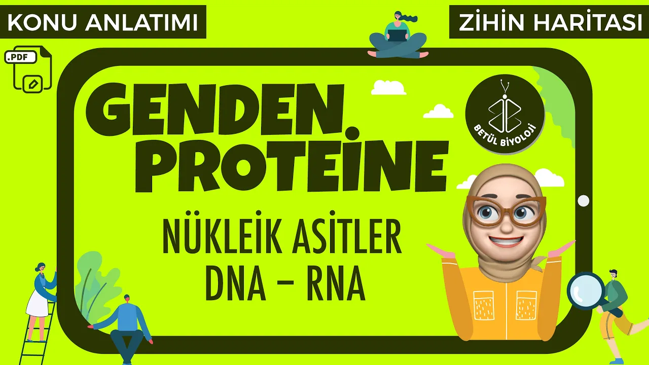Genden Proteine #2 | Nükleik Asitler DNA - RNA | AYT Biyoloji | 12. Sınıf Biyoloji