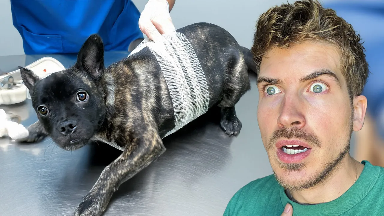 Joey Graceffa channel featured image