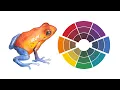 3 Things Every Artist Should Know About Complementary Colors