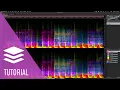 Five Essential Tools in Five Minutes SpectraLayers 9 Tutorials