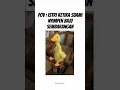 Download Lagu #bebek #ngomel #marah #short #youtubeshort