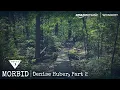The Disappearance of Denise Huber Part 2 Morbid Podcast