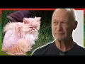Download Lagu B\u0026B Rob vertelt eindelijk wat er met zijn poes aan de hand is
