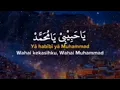 Download Lagu Sholawat Nabi, Ya Habibi Ya Muhammad Ya Arusal Khofiqoini II BagusUmh PKRC