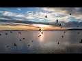 Study and Focus Music | Deep Work with Cello and Piano, Concentration and High Productivity