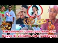 Download Lagu Lubbuyee Fatashow Arse Ani Sin Jaladha Jateni Lubbuyee Sapira'is Ajaiba Fatashow