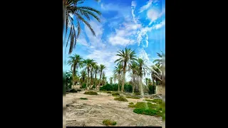 الفنان القدير سيف النصر يابورفيق 