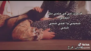 قد مرت أمي في حلمي مثل النجم دندنها