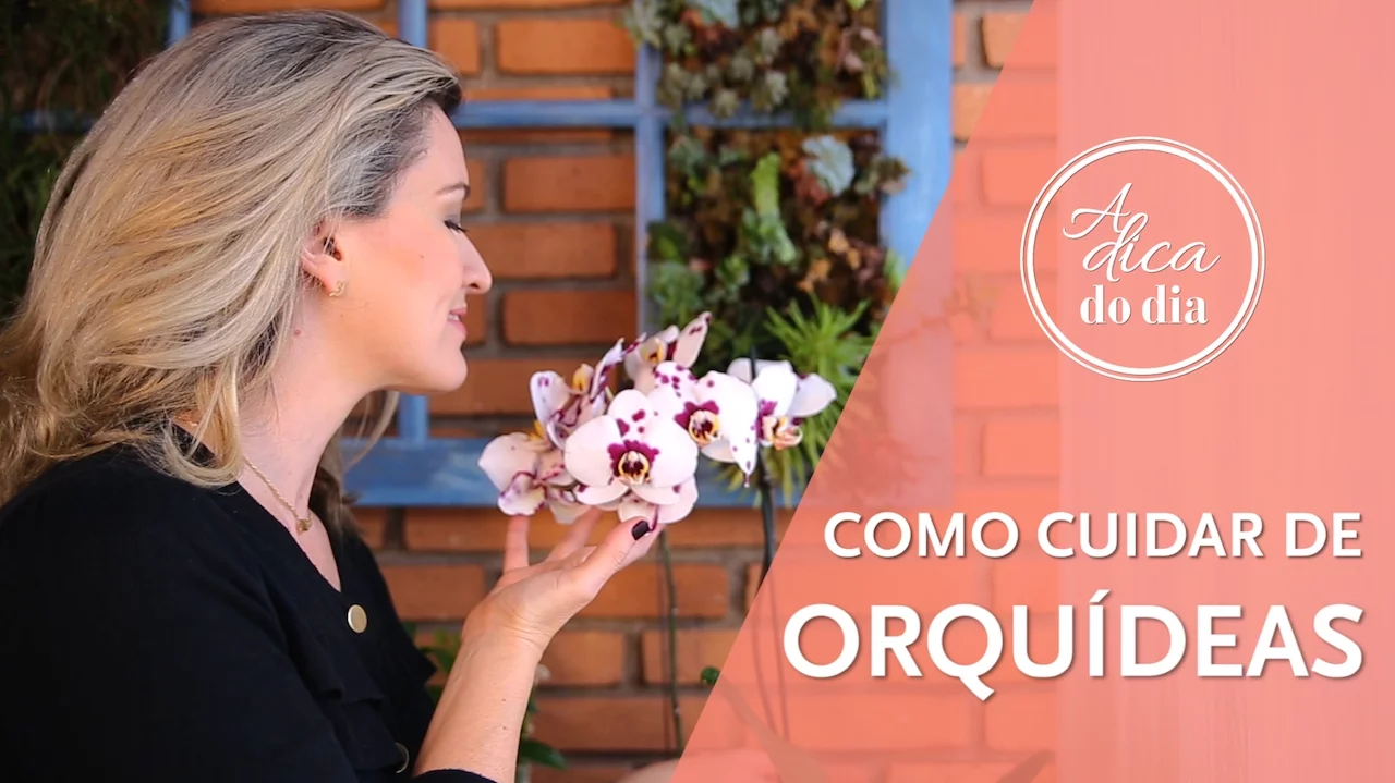 COMO CUIDAR DE ORQUÍDEAS A DICA DO DIA