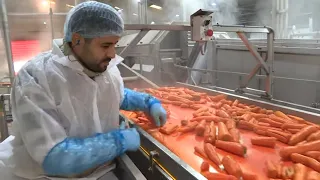 Les surgelés, amis ou ennemis ?