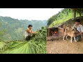 Trieu Kang Roofs the Kitchen | Cooking Simple Meals in the Forest