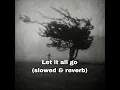 Download Lagu Let it All Go (slowed \u0026 reverb)