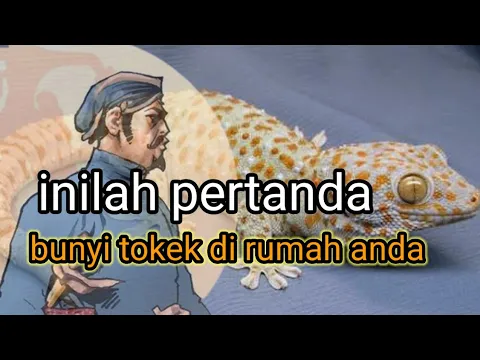 Download MP3 inilah mitos arti bunyi tokek di rumah anda