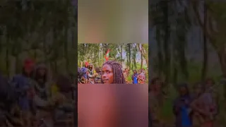 New Oromo Music Siifan Fayyeeraa Halagaaf 2025 