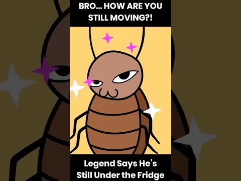 The Cockroach  #shorts #animation #meme #funny #cockroach  #cockroachkiller #shortviral