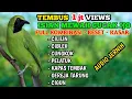 Download Lagu CUCAK IJO, MASTERAN CUCAK IJO FULL TEMBAKAN KASAR, MASTERAN CUCAK IJO PART 3.