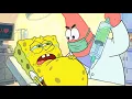 Lagu SpongeBob Really Pregnant?  | Fanmade SpongeBob Animation