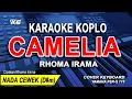Download Lagu Rhoma Irama - Camelia Karaoke Dangdut Koplo Nada Wanita (Sungguh Tak Kan Ku Biarkan)