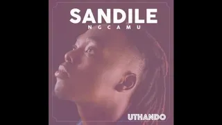 sandile ngcamu uthando medium