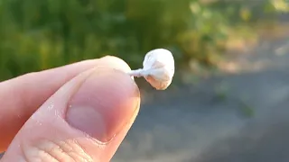 How Loud Are Pop-Its