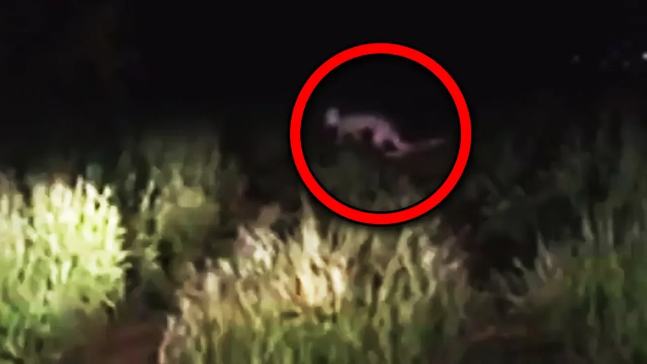 11 Scary Creatures Accidentally Caught on Camera