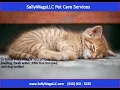 Pet Sitting Dog Walking Jacksonville NC