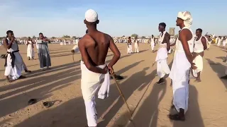 هيثم زمراوي السمحه بت عثمان غزالي 