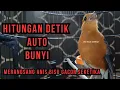 Download Lagu Bikin Anis Bisu Auto Gacor Seketika, Pancingan Anis Merah Merangsang Bunyi