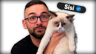 OS PRESENTO a SISI 🐱 LA REINA de LA CASA 🥰 Xokas
