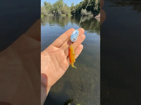 Cada vez me gusta más la pesca 😅🎣 publi #viral #lucio #spinning #unbloquemás