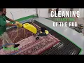 Our Rug Cleaning Process Green Team Rug Cleaning