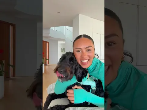 HOOD BABY VIRAL TIKTOK TREND 🩵 Jellybean ate 🤭🔥 ib: @itsdylannovak #dog
