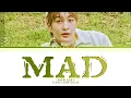 ONEW 'MAD' Lyrics (color coded lyrics)