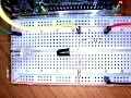 RPi 04 - Detect Input Using Polling