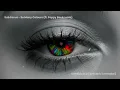 [UNRELEASED] Sub Focus - So Many Colours (ft. Poppy Baskcomb) [Kessleric's remake]