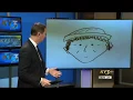 Ethan Forhetz reports on sketch of suspected thief