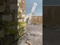 Download Lagu fan sound | fan peeking out from behind the wall | fan noise #fan #fanvideo #ceilingfan #tablefan