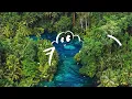 nextanative - Langit dan Bumi (Lirik/Lyrics)