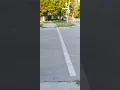 August 4th Walk to elite staffing 55th Dan Ryan woods and stores part17
