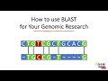 How to Use BLAST for Finding and Aligning DNA or Protein Sequences