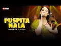 Lagu PUSPITA NALA - SHINTA GISUL (LIVE DANGDUT LEMBAYUNG MUSIC) | Ngambar arum tan kuciwa