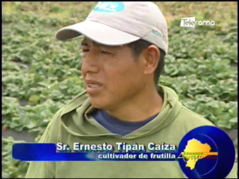 Ecuador Agropecuario 22-05-2017