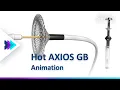 Hot AXIOS GB Animation Boston Scientific