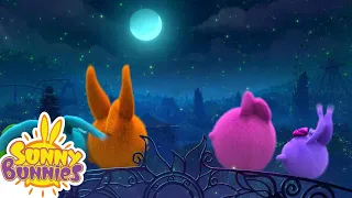 Sunny bunnies | Big Boo’s Sweet Dream! | Cartoons For Kids | HooplaKidz Shows