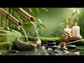 Relaxation Music Bamboo Water Sounds Deep Healing Music Cure Insomnia Calm Your Mind