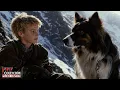 Download Lagu LASSIE: CORAZÓN DE ORO | Película Completa FAMILIAR de LEALTAD y VALENTÍA en Español