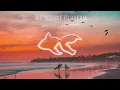 GoldFish Feat Xavier Rudd - We Deserve To Dream - Official Visualizer