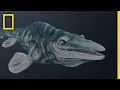 Download Lagu Mosasaurs 101 | National Geographic