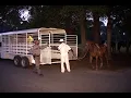 073104 HARDIN COUNTY JAIL BREAK